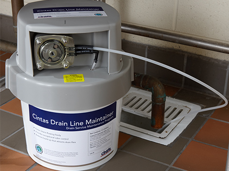 Drain Line Maintainer